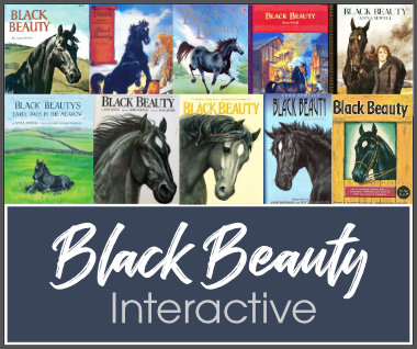 black beauty interactive video course