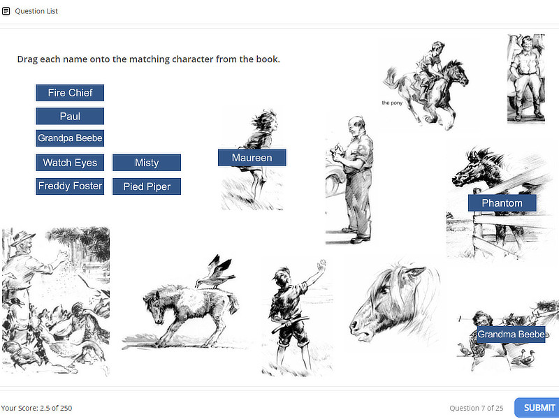 misty of chincoteague quiz